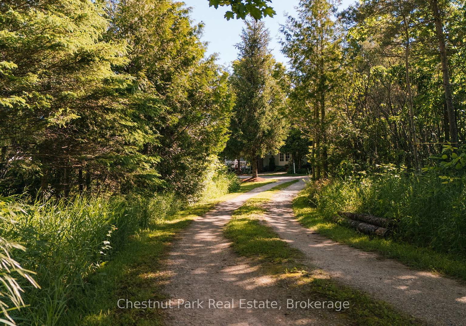 729297-21st-side-road-blue-mountains-ontario-x13456170
