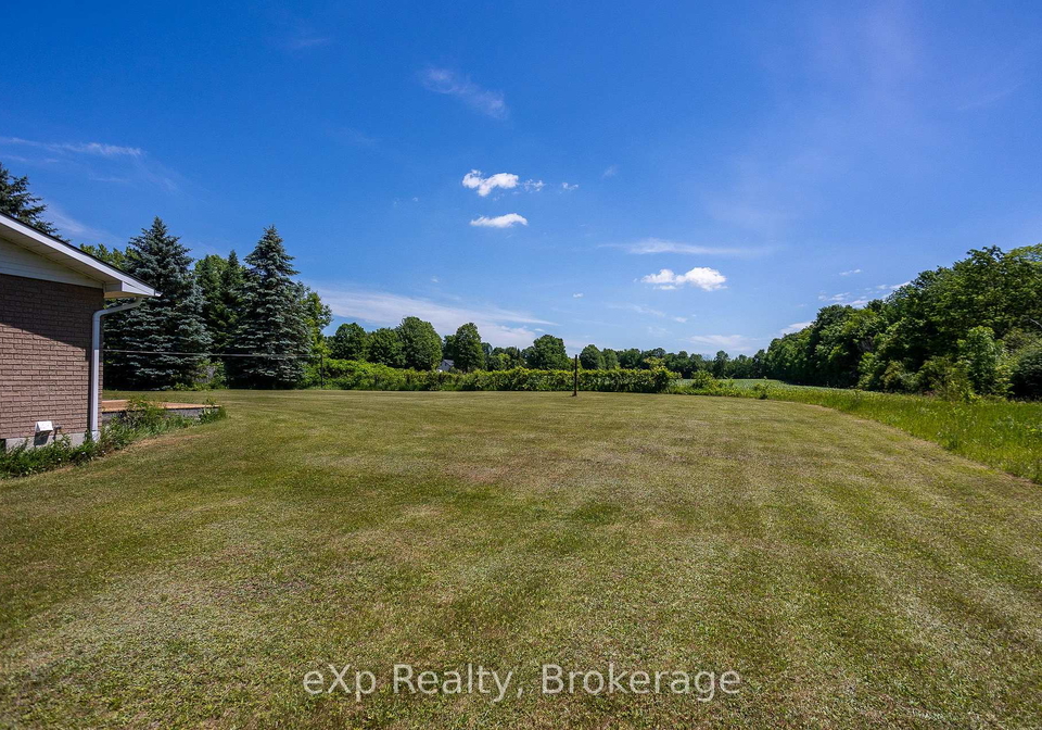 119-douglas-street-chatsworth-ontario-x13459778