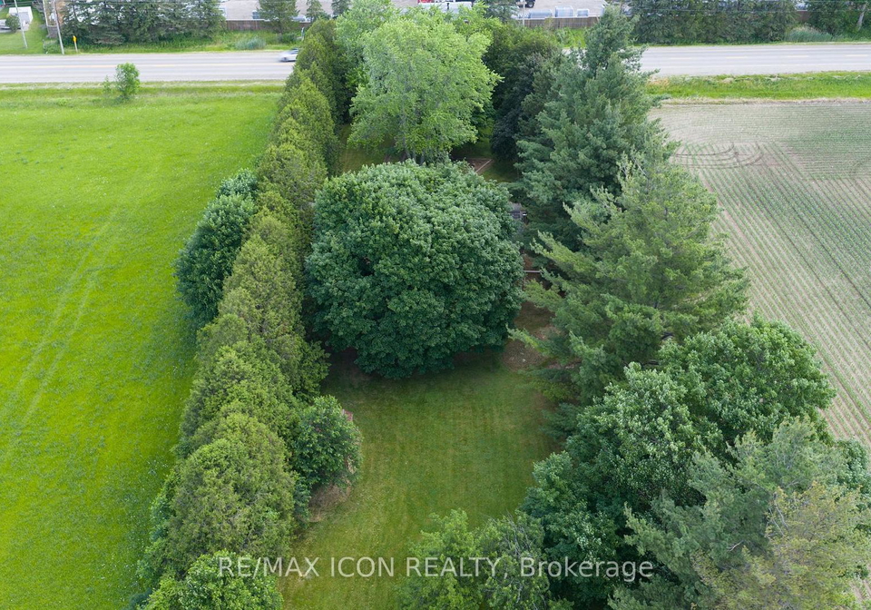 23163-nairn-road-middlesex-centre-ontario-x13459986