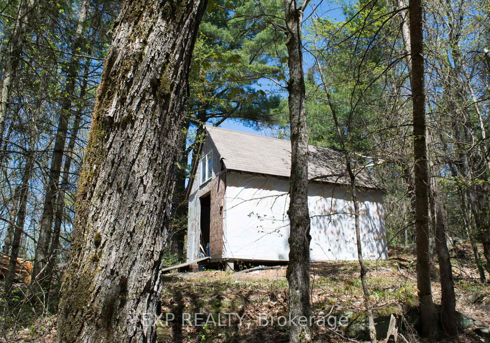1800-bear-cave-road-muskoka-lakes-ontario-x13464762