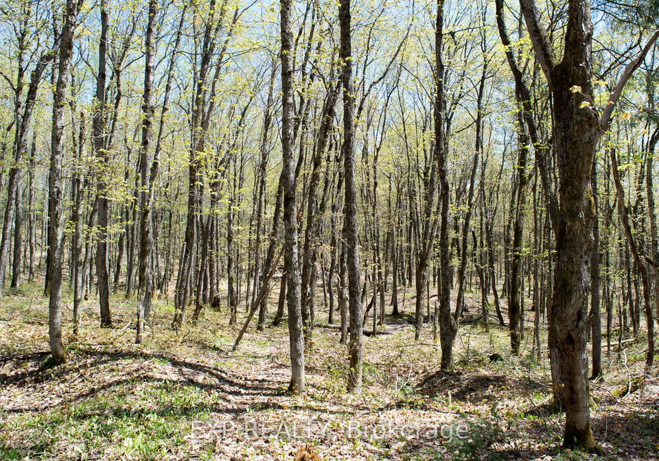 1800-bear-cave-road-muskoka-lakes-ontario-x13464762