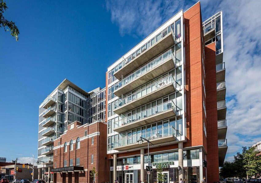 349-mcleod-street-ottawa-ontario-x13465774