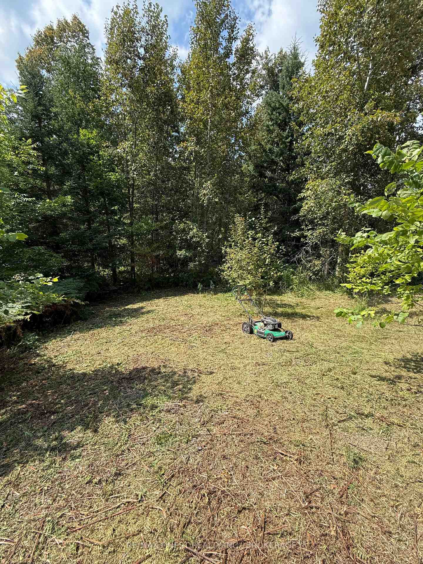 21508-highway-41-addington-highlands-ontario-x13466142