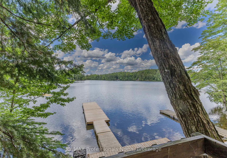 1016-twilight-close-algonquin-highlands-ontario-x13469454