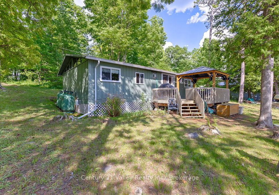 161-maple-grove-lane-north-algona-wilberforce-ontario-x13469704