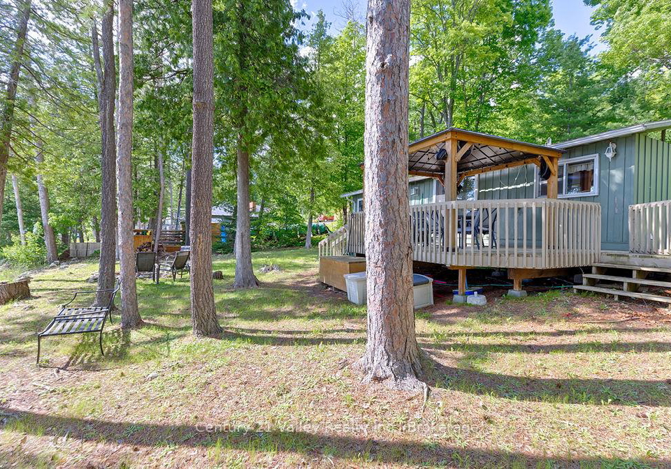 161-maple-grove-lane-north-algona-wilberforce-ontario-x13469704