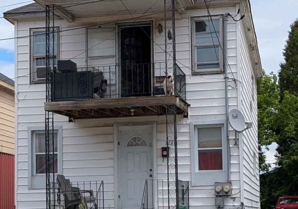 228-mcconnell-avenue-cornwall-ontario-x13470336