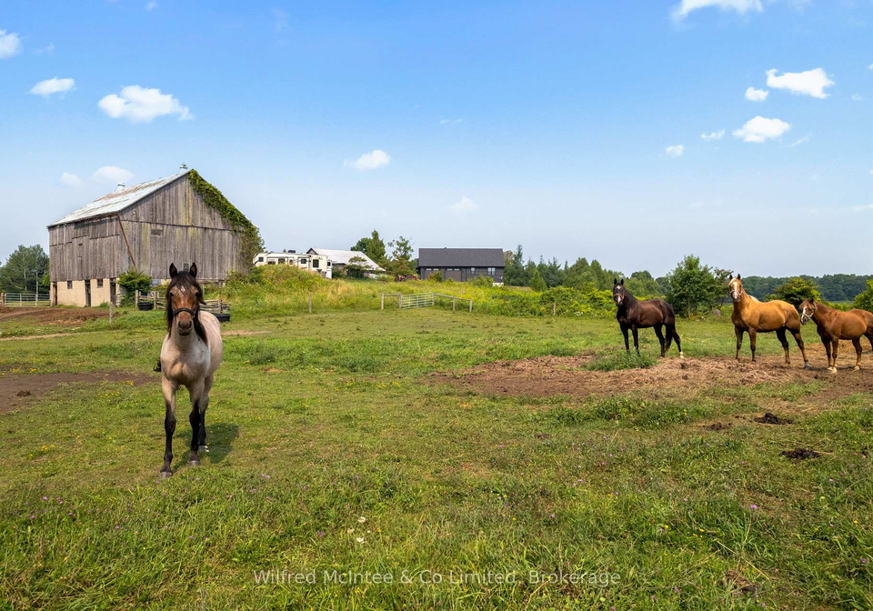 574461-sideroad-40-west-grey-ontario-x13470636