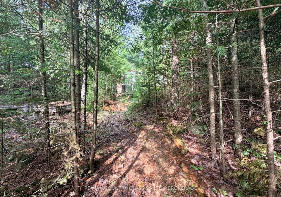 860-mazinaw-lake-addington-highlands-ontario-x13473070