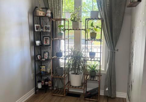 45-northampton-boulevard-hamilton-ontario-x13473396