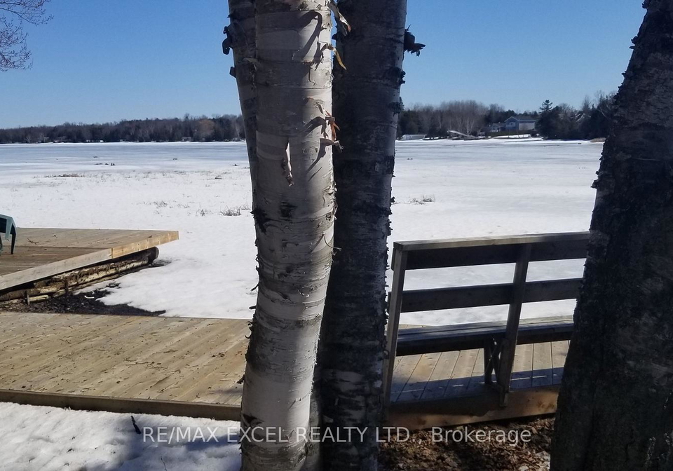 572-birch-point-road-kawartha-lakes-ontario-x13477792