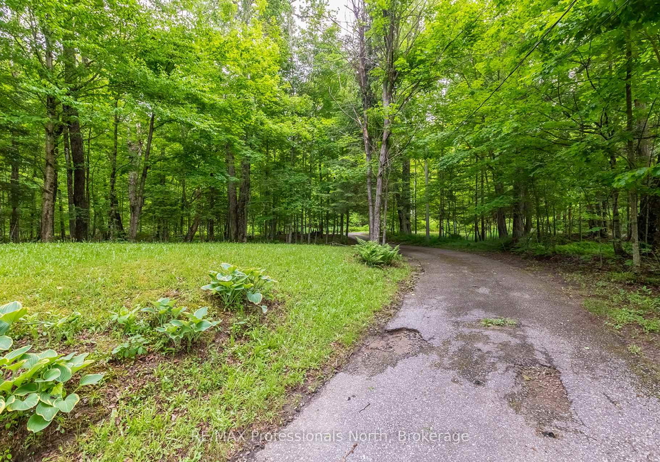 339-sunnylea-avenue-armour-ontario-x13480406