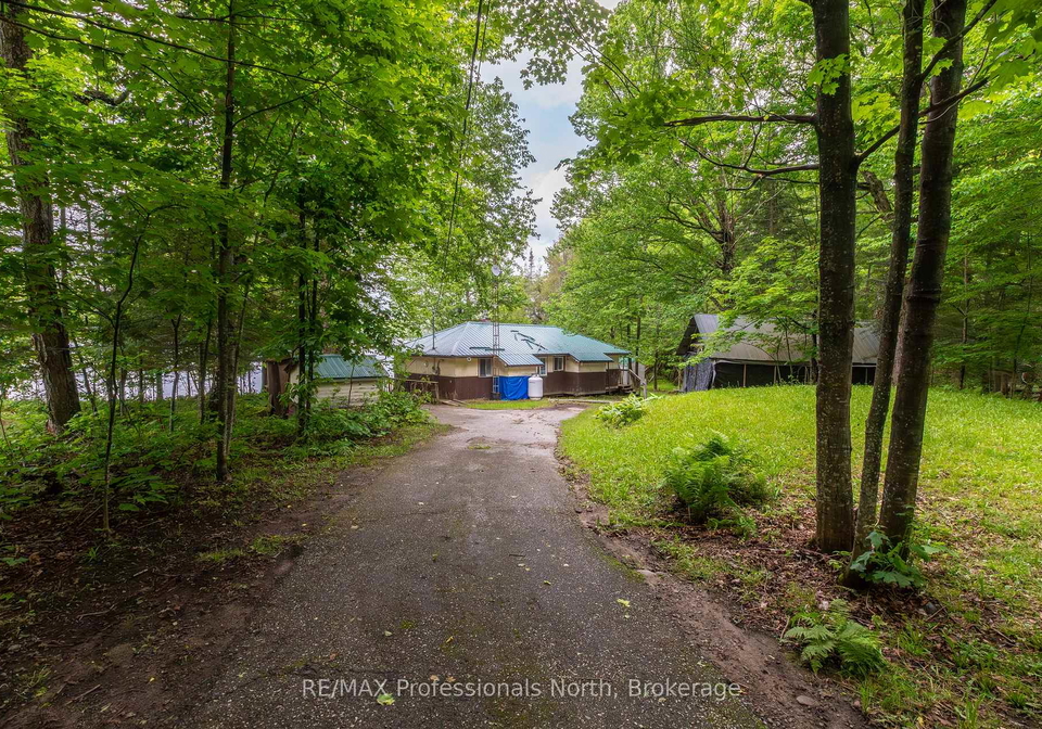 339-sunnylea-avenue-armour-ontario-x13480406
