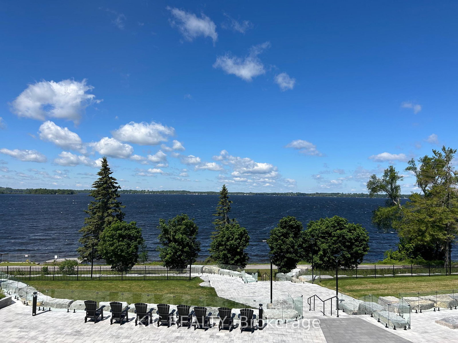 99-louisa-street-kawartha-lakes-ontario-x13483314