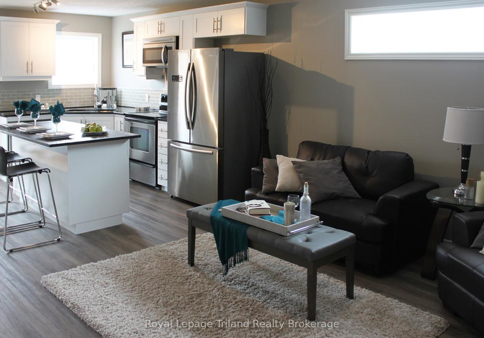 673-adelaide-street-woodstock-ontario-x13484162