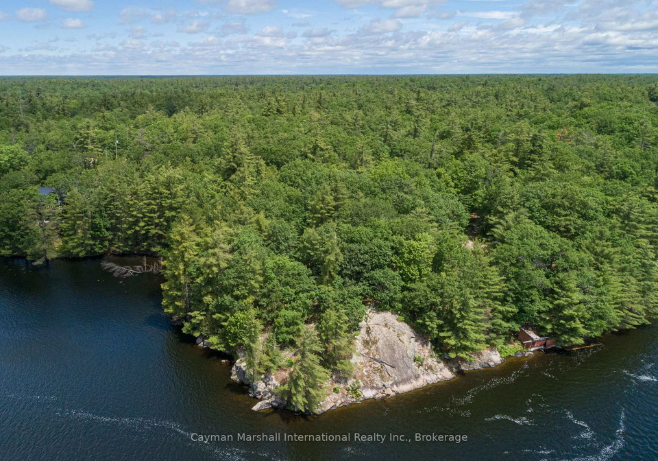 1465-west-lionshead-road-gravenhurst-ontario-x13484390