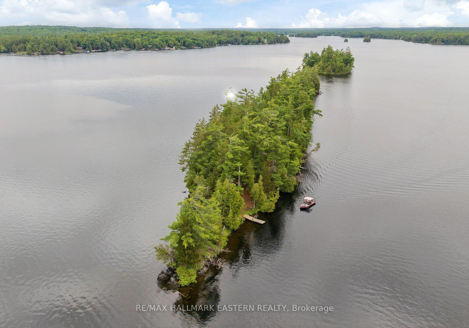 281-string-island-s-havelock-belmont-methuen-ontario-x13485148