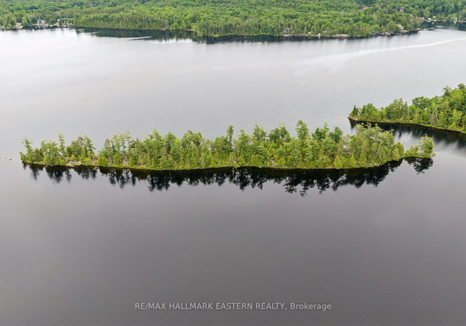 281-string-island-s-havelock-belmont-methuen-ontario-x13485148
