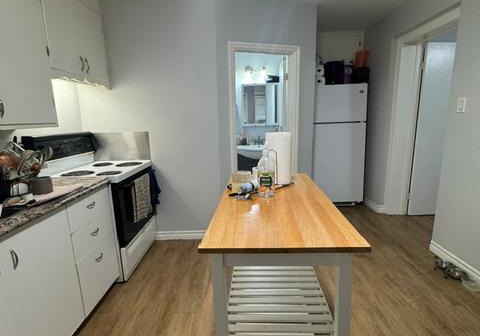 54-walter-street-kitchener-ontario-x13491190