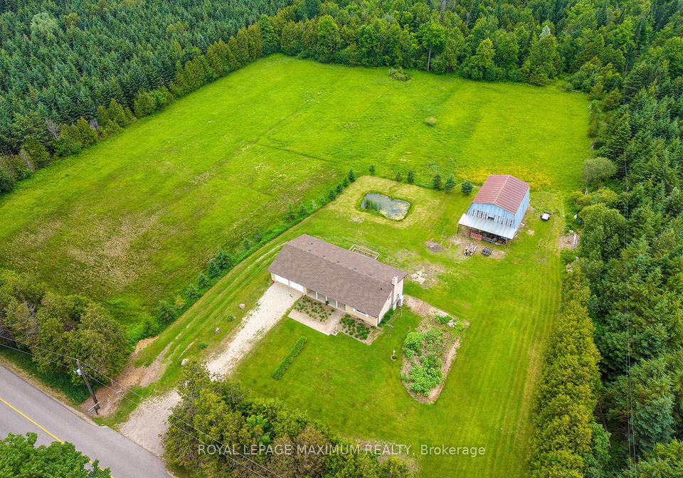 5575-7-line-guelpheramosa-ontario-x13493294