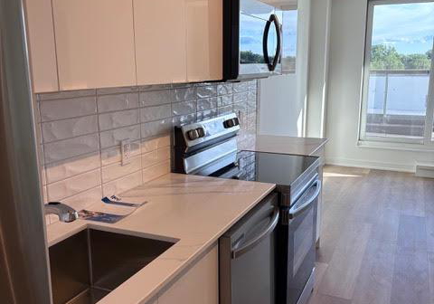 33-erie-avenue-brantford-ontario-x13493416