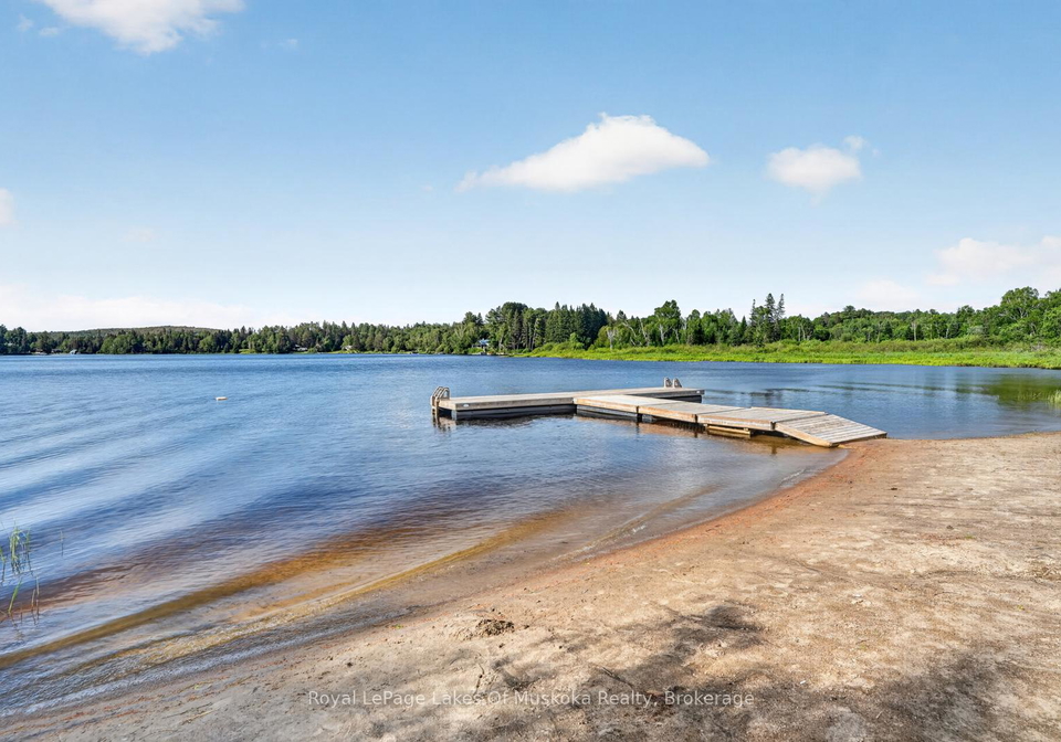 21-lakeview-avenue-w-kearney-ontario-x13493494