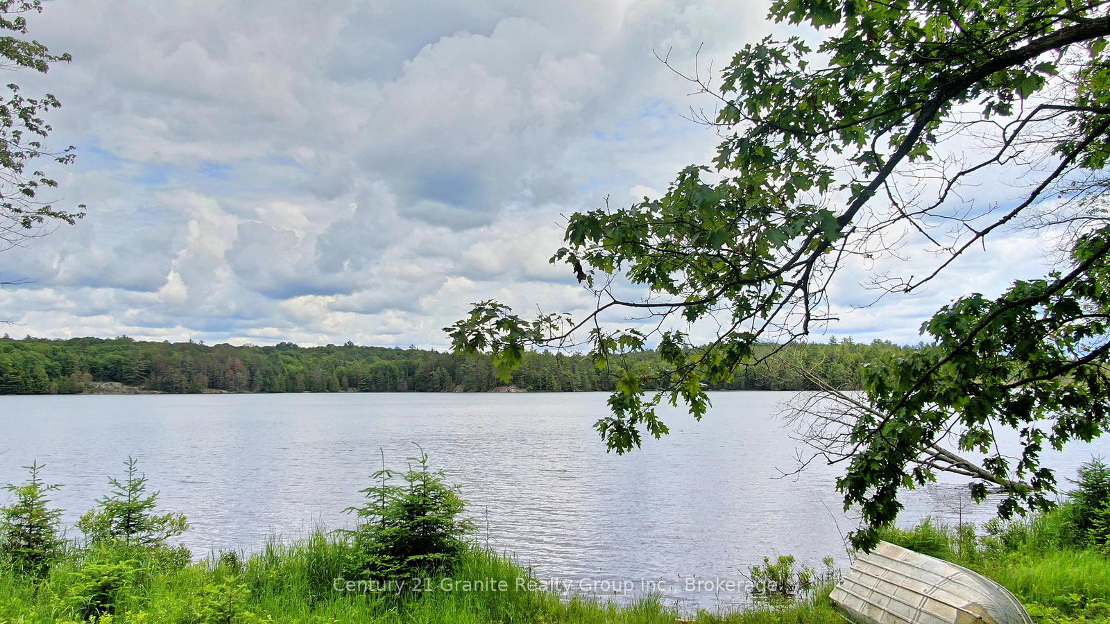 0-west-eels-lake-road-north-kawartha-ontario-x13494450