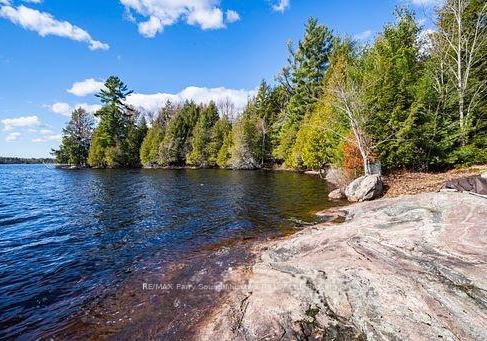 764-east-bear-lake-road-mcmurrichmonteith-ontario-x13495546