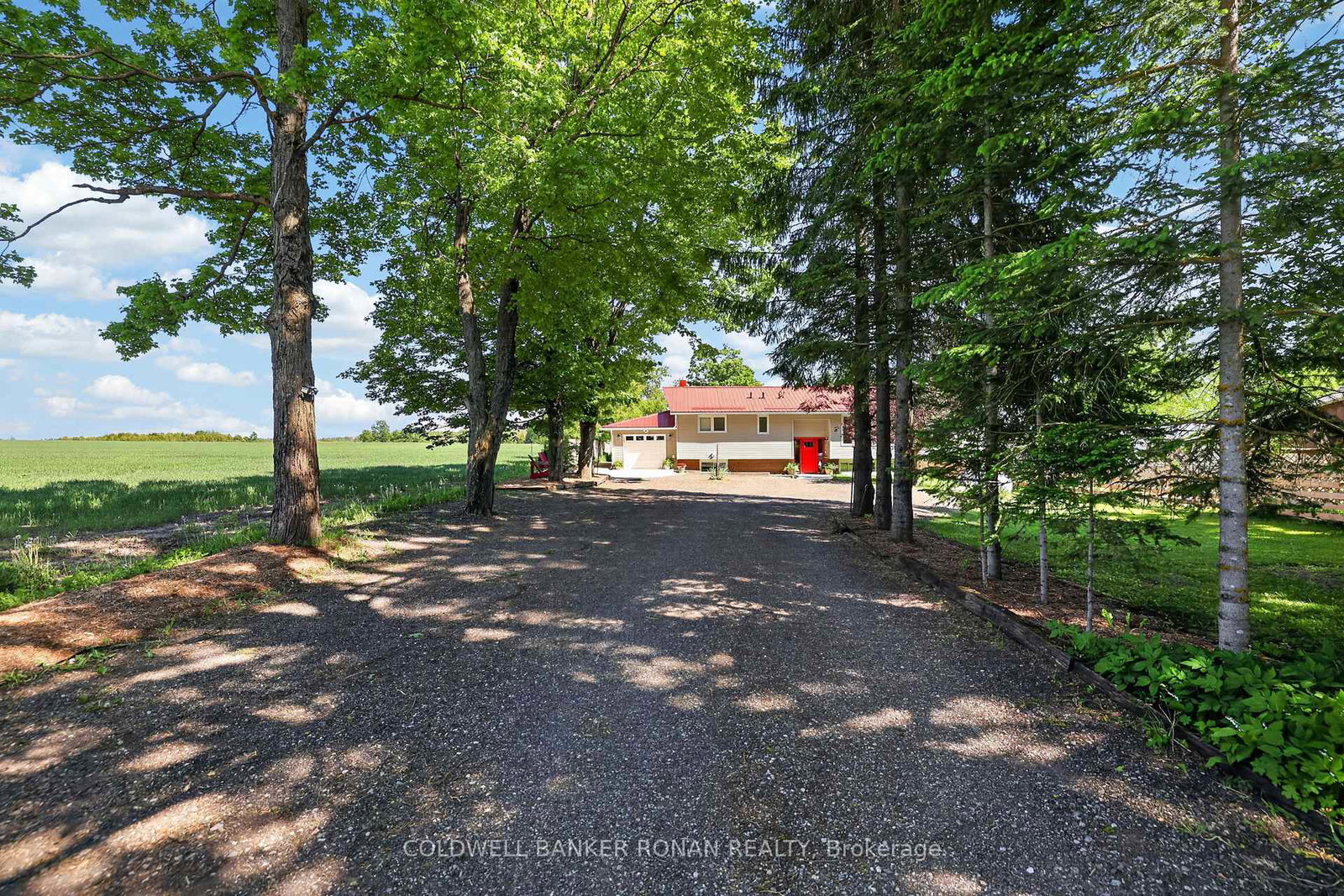 681170-260-side-road-melancthon-ontario-x13495778