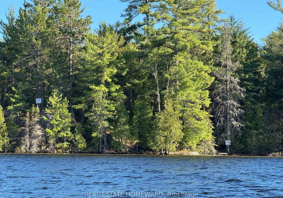 boat-access-on-mason-island-french-river-ontario-x13496780