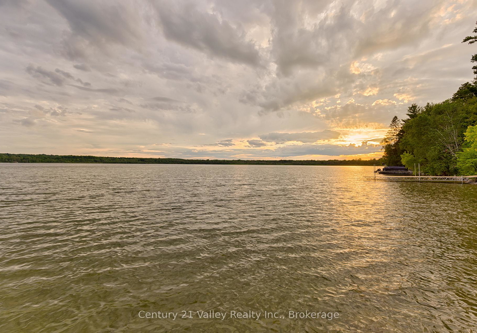 229-holiday-lane-north-algona-wilberforce-ontario-x13497168