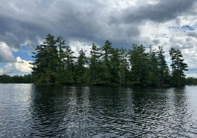 16-is-12-cordova-lk-island-havelock-belmont-methuen-ontario-x13497556