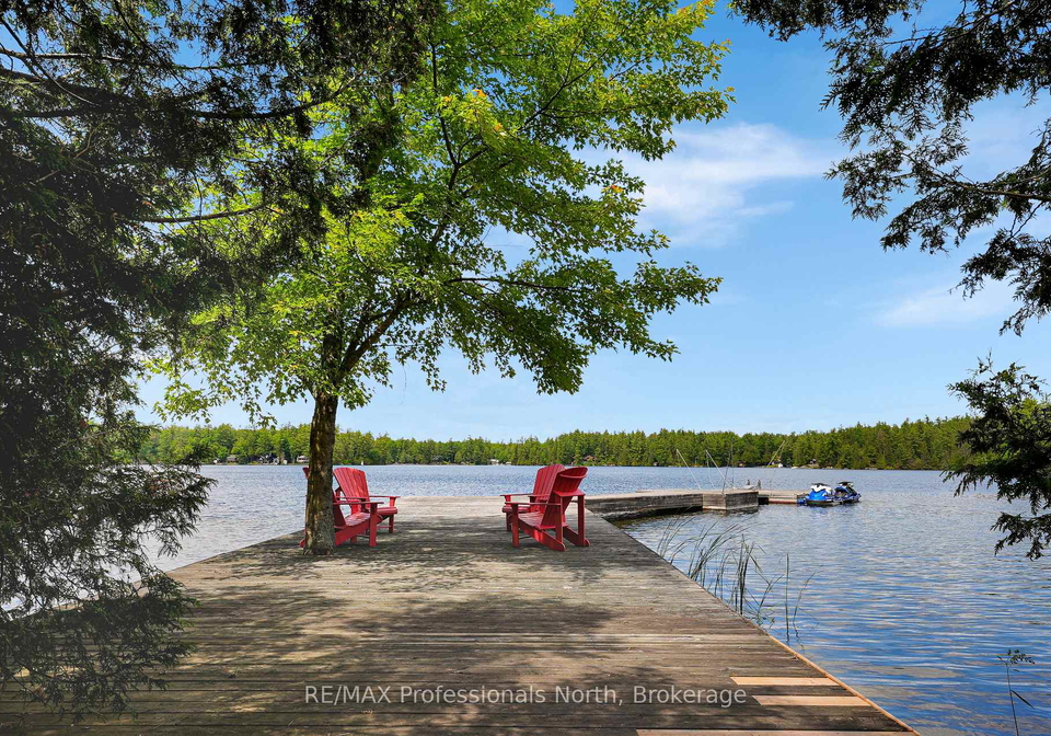 334-east-clear-bay-road-trent-lakes-ontario-x13498272