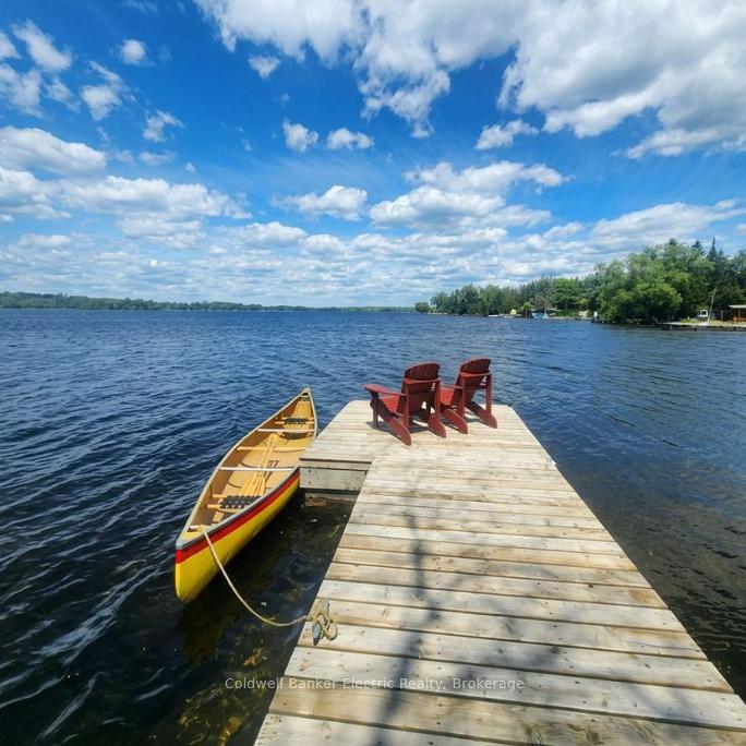 1647-stenner-road-douro-dummer-ontario-x13499212