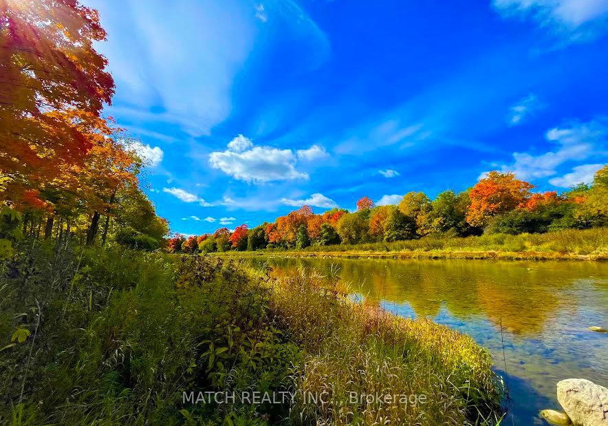 17000-storey-drive-thames-centre-ontario-x13499286