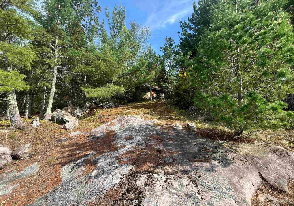 pin-560660931-rainy-river-remote-area-ontario-x13500216