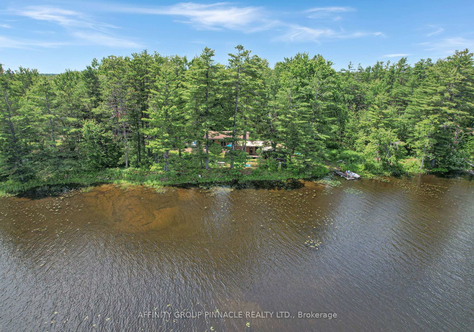 396-north-shore-road-kawartha-lakes-ontario-x13503978