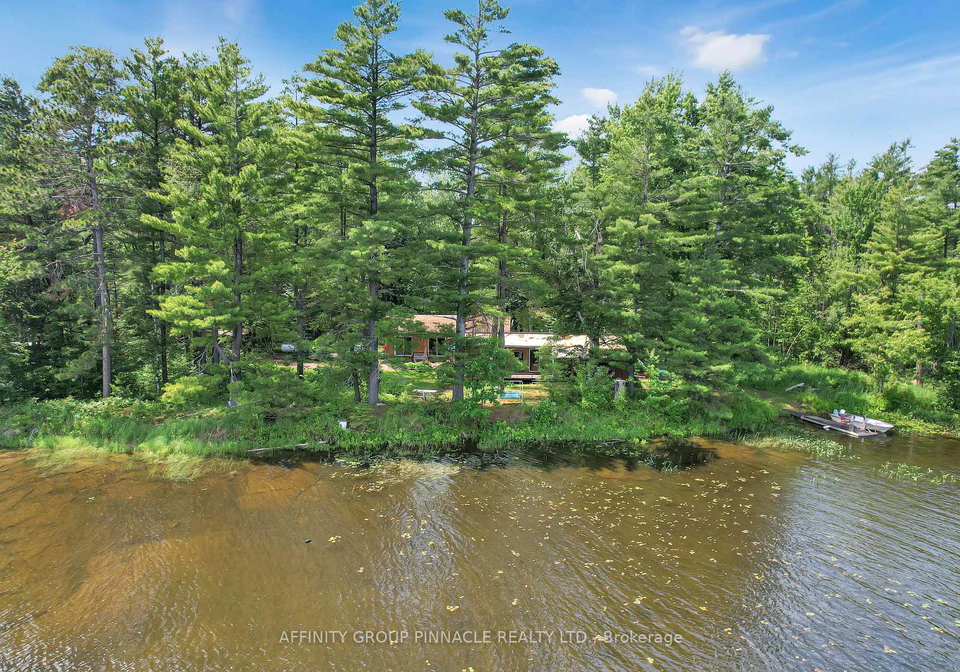 396-north-shore-road-kawartha-lakes-ontario-x13503978