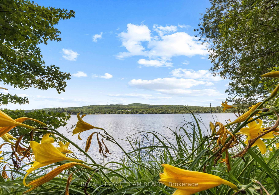 156-mask-island-drive-madawaska-valley-ontario-x13506276