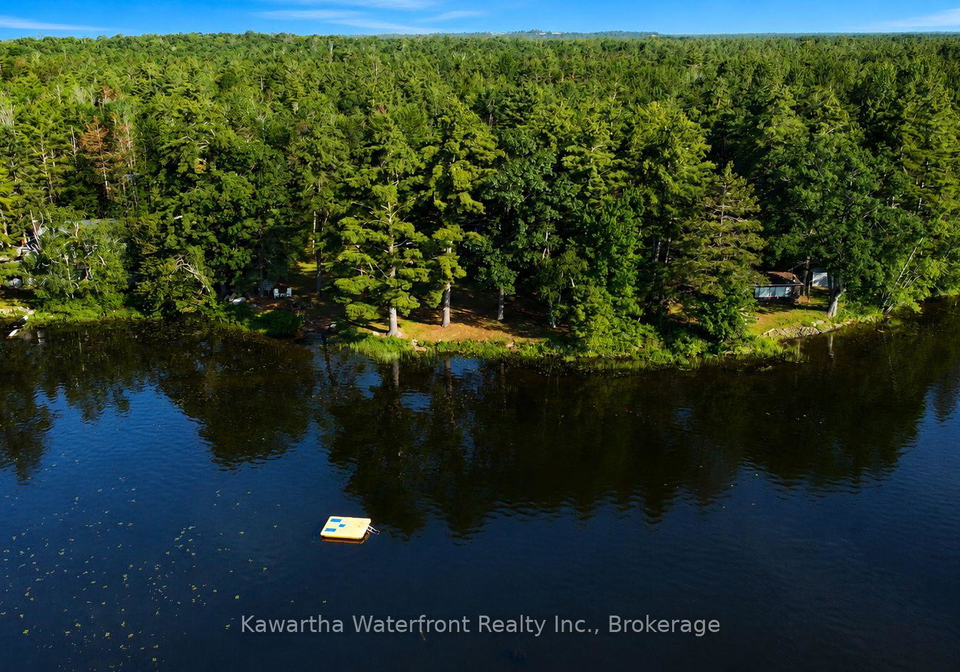 388-north-shore-road-kawartha-lakes-ontario-x13506860