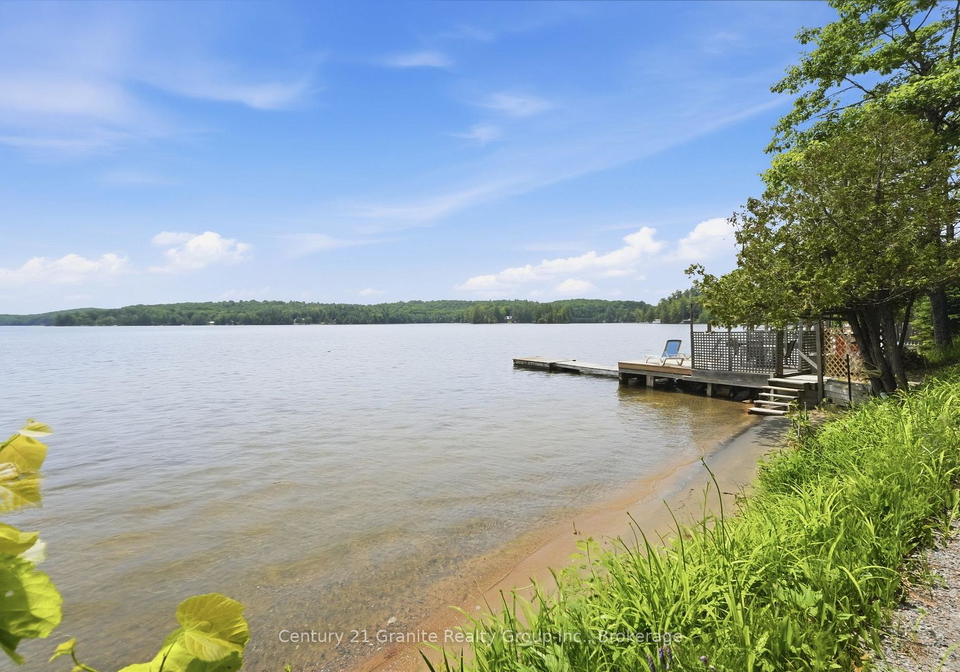 1163-reynolds-road-minden-hills-ontario-x13506908