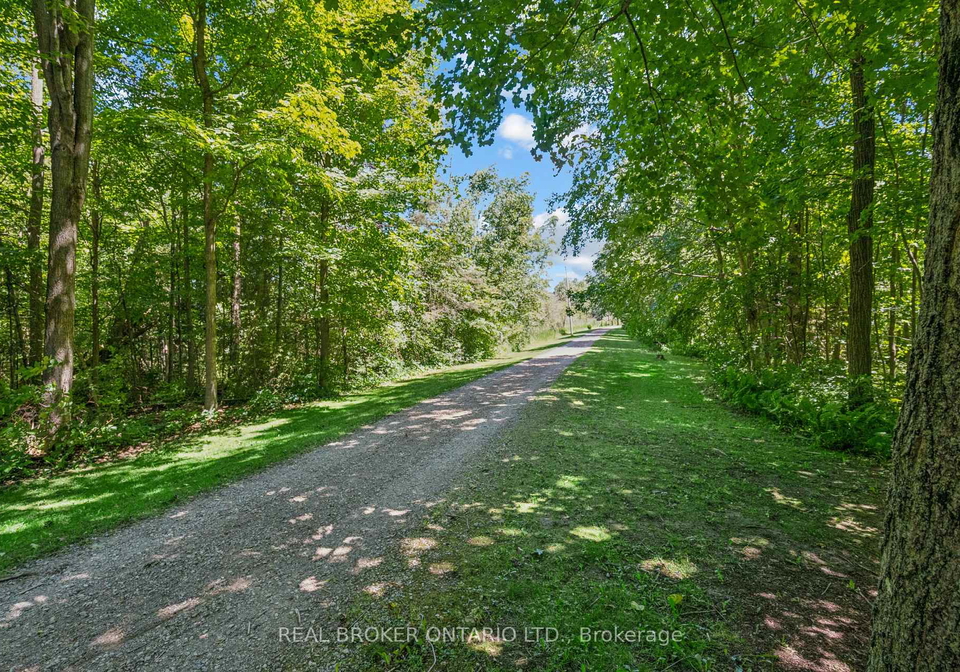 5678-fourth-line-guelpheramosa-ontario-x13508568