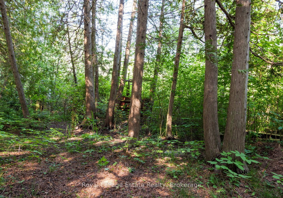125-third-avenue-n-south-bruce-peninsula-ontario-x13509256