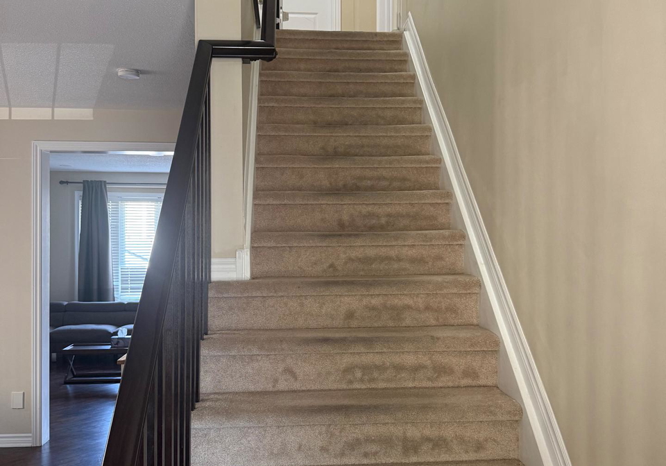 371-vendevale-avenue-ottawa-ontario-x13509888