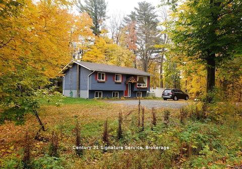 879-stephenson-road-e-huntsville-ontario-x13515782