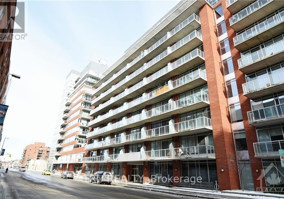 383-cumberland-street-ottawa-ontario-x13516678