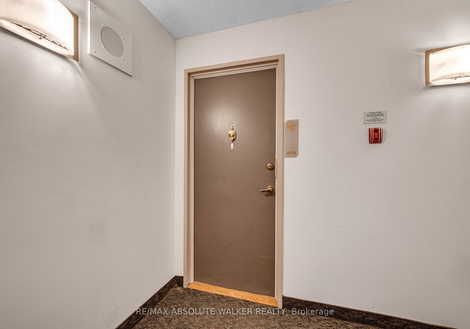 158c-mcarthur-avenue-ottawa-ontario-x13517540