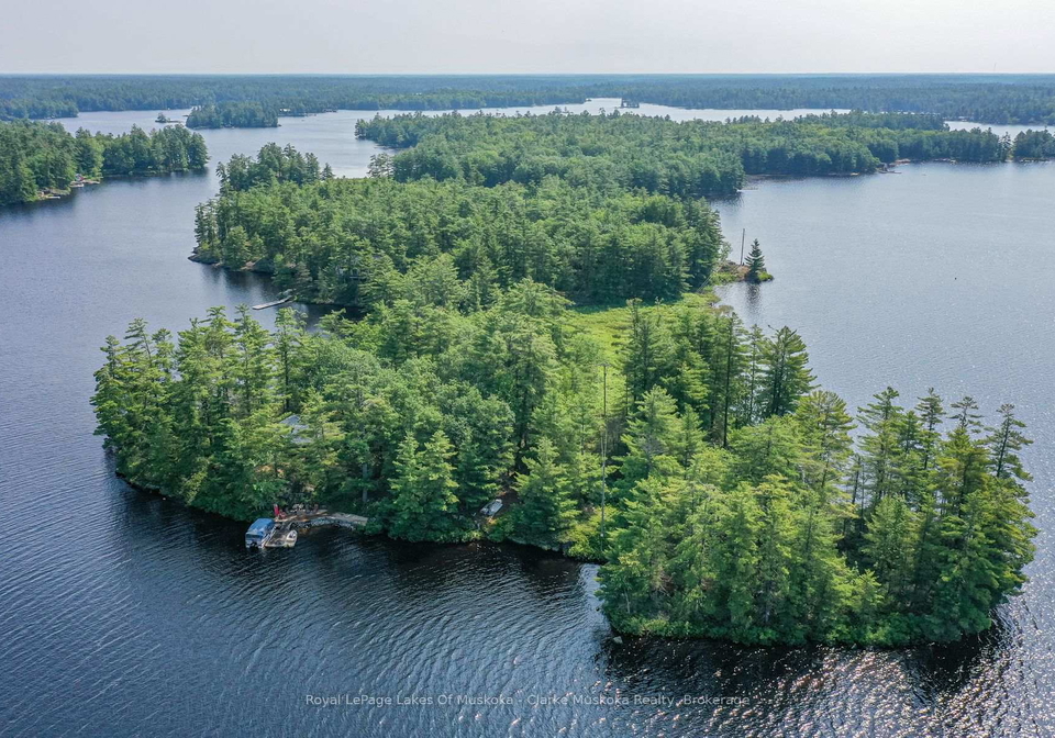 18-5kl-island-kahshe-lake-gravenhurst-ontario-x13518810