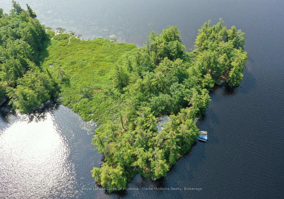 18-5kl-island-kahshe-lake-gravenhurst-ontario-x13518810