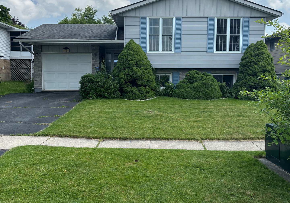 75-chippewa-avenue-woodstock-ontario-x13519054